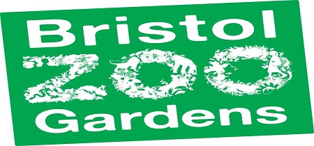 bristol zoo